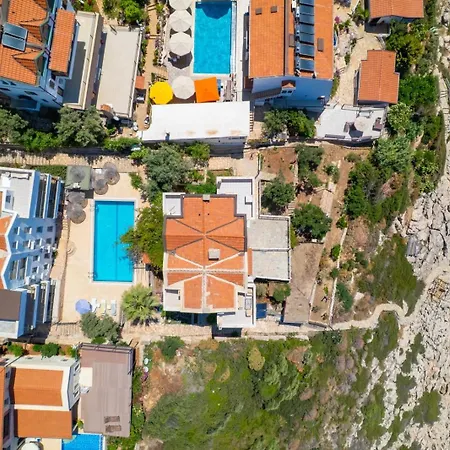 Panorama Meis Suits